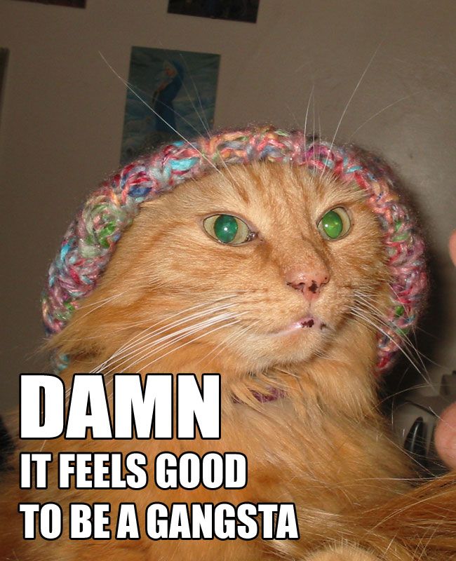Trevor, in a hat