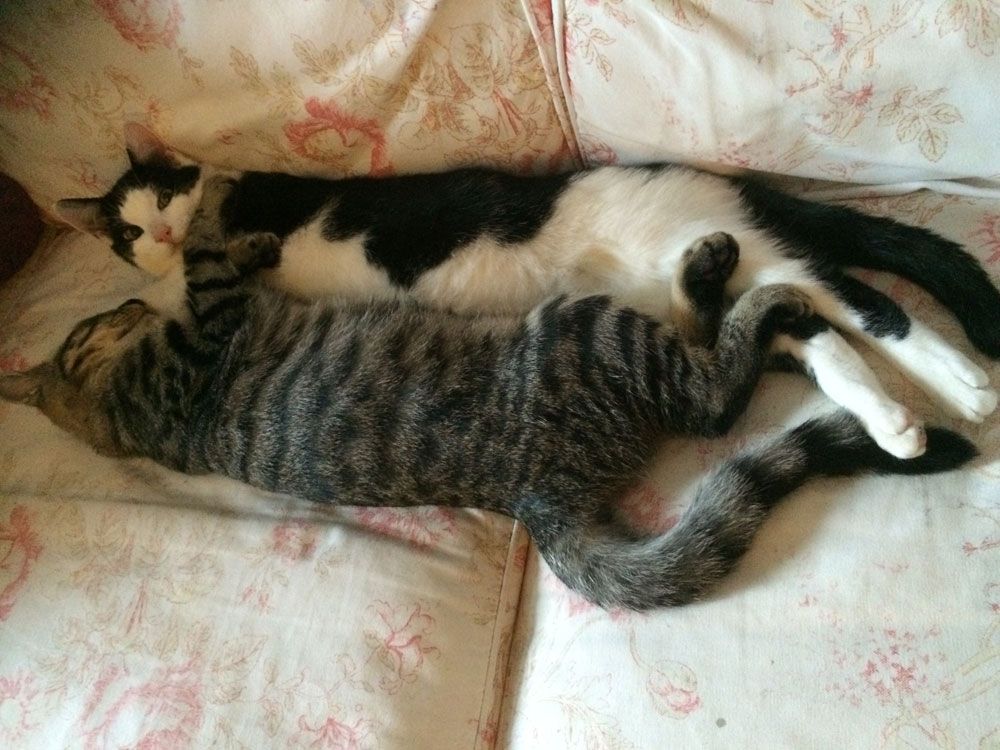 Jeff and Ziggy