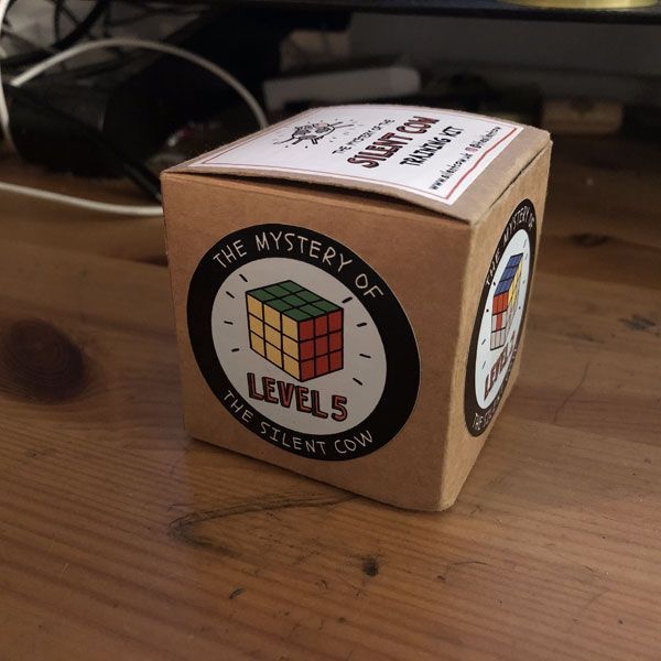 Level 5