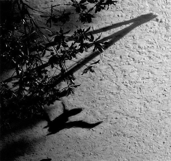 Max Richter - The Blue Notebooks